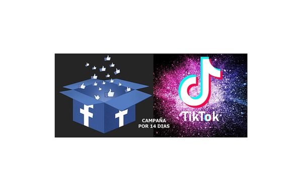 Facetik2.1 Campaña de publicidad en Facebook Ads o TikTok Ads por 14 días
