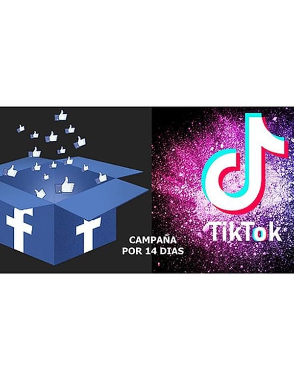 Campaña de publicidad en Facebook Ads o TikTok Ads por 14 días